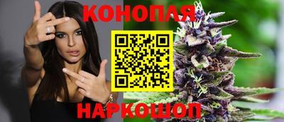 крисы Кунгур